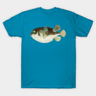 I'm a pufferfish T-Shirt